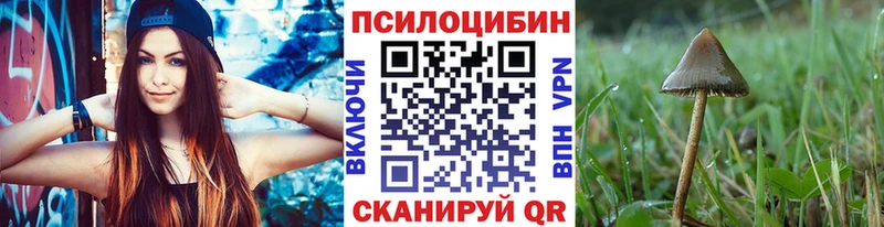 Галлюциногенные грибы Psilocybe  Черепаново 